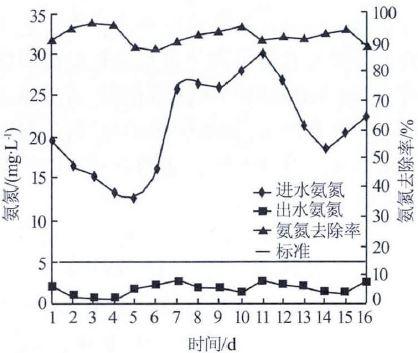 標(biāo)定階段氨氮處理效果.jpg